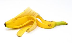 Bucce di banana nel vaso di fiori, un metodo naturale per fertilizzare le piante.