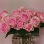 Rosa fiorita in giardino, con gocce d'acqua su petali luminosi e verdi fogliami circostanti.