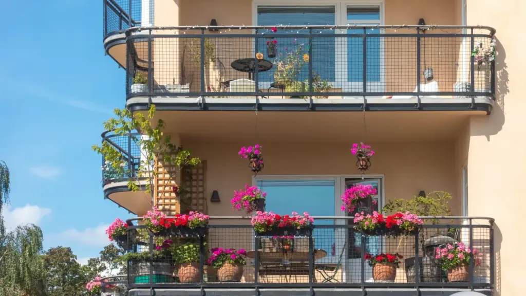 Balcone molto ventoso: come capire quali vasi e piante stanno soffrendo prima che sia troppo tardi