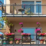 Balcone molto ventoso: come capire quali vasi e piante stanno soffrendo prima che sia troppo tardi