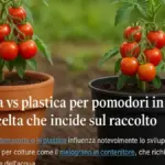 Terracotta o plastica su un terrazzo assolato: come materiale e dimensione cambiano la gestione dell’acqua