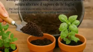 Terrazzo esposto al maestrale: come creare ripari per i vasi senza chiudere completamente la ventilazione